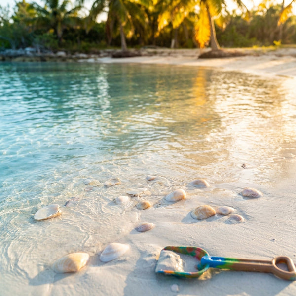 Family Fun Day in Freeport: A Cruise Itinerary
