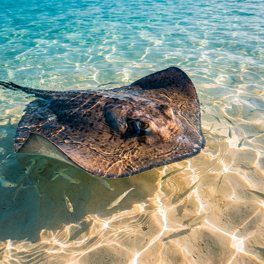 Grand Cayman Family Day: 6 Hours of Fun in Port