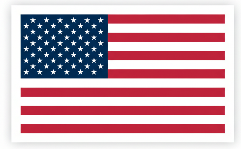 USA printed icon